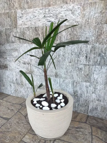 Vaso com ráfia 25x20cm