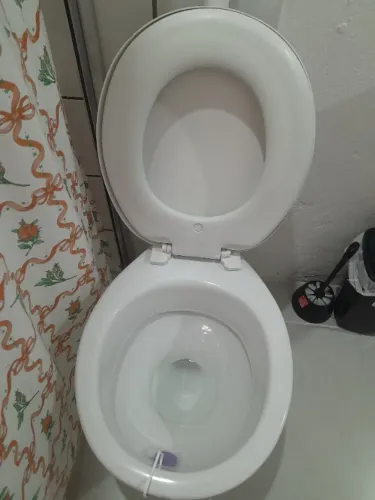 Vaso sanitário 80,00 tem que vir buscar no local