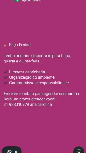 Faxina