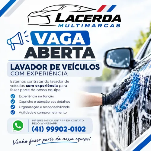 Lavador de Veículos