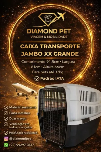 Caixa de transporte n°06