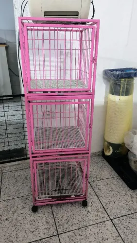 Canil para petshop