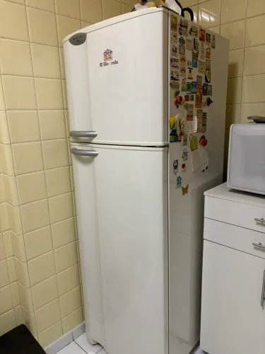 Geladeira Eletrolux 310L