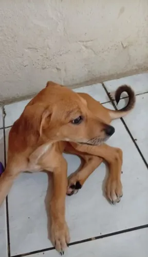 Doação responsável