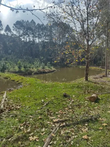 Oportunidade Única: Área Produtiva e de Lazer no Tarumã Agudos do Sul