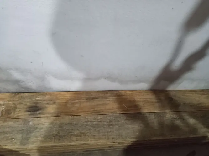 Vendo 10 Tábuas de pinus