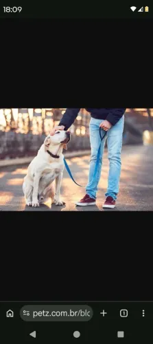 Passeador de cães