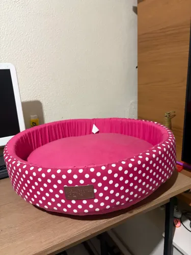Cama de gato 