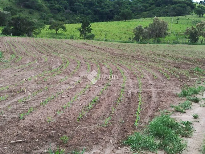 Sitio produtivo em Itapetininga - Sorocaba