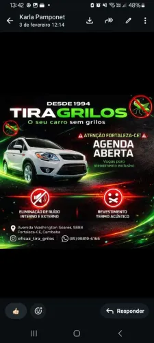 Tire grilos do seu carro