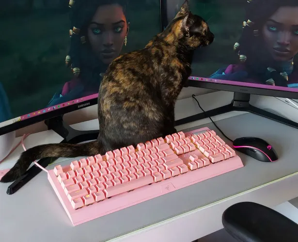 Teclado mecânico Razer BlackWidowV3