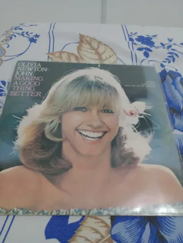 Disco de vinil diversos não vendo separado.