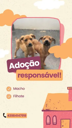 Adote