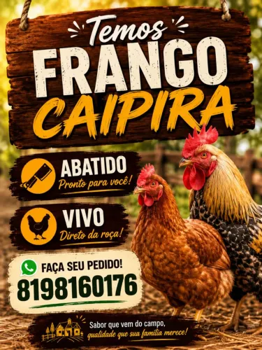 Galinha caipira