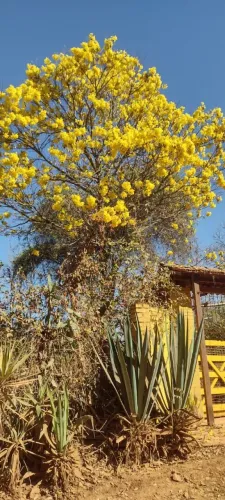 VENDO SITIO 5000m2 Ou TROCO POR IMÓVEL p