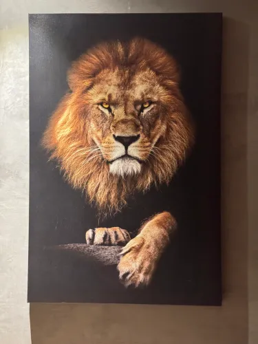 Quadro canvas 80x120