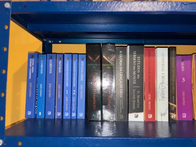 Lote Livros II