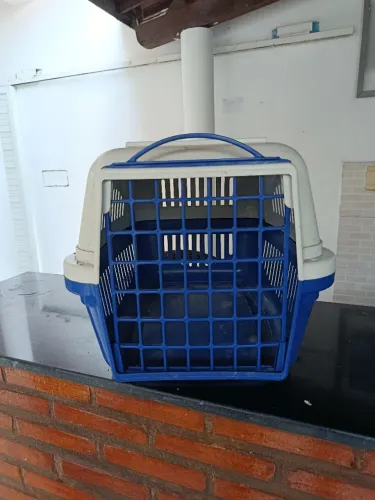 Transporte pet