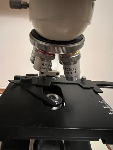 Microscópio