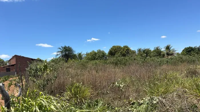 Terreno