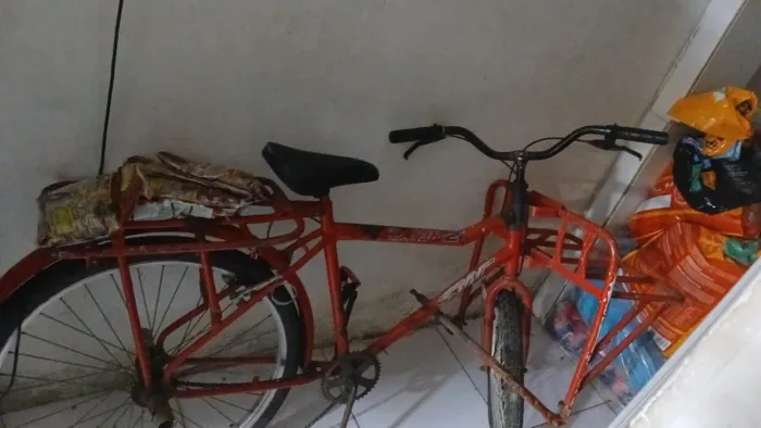 Bicicleta de carga