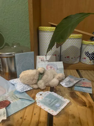 Teddy feito a mão (Larissa versolato) 