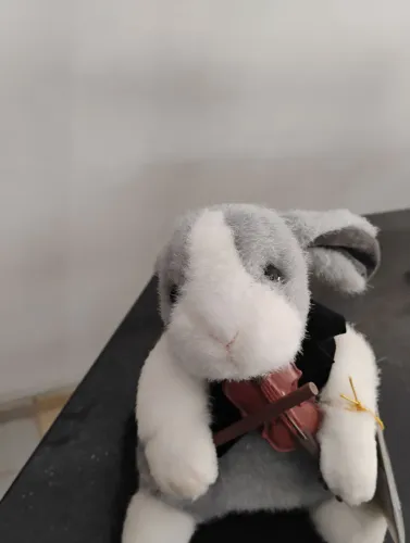Coelhinho Musical