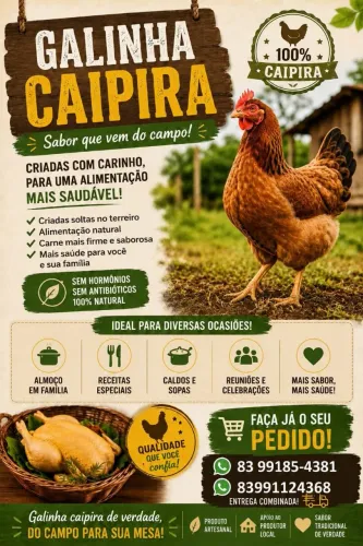 Galinha de capoeira/ caipira 