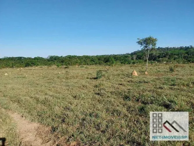 FAZENDA (309 Alqueires). OPORTUNIDADE DE NEGÓCIO COM RENDA GARANTIDA, COM 750 CABEÇAS DE G