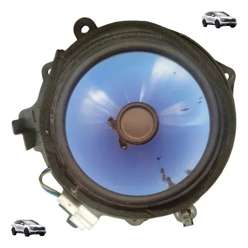 Alto Falante Porta Kia Sportage 06 A 10 Original Preto E Azul