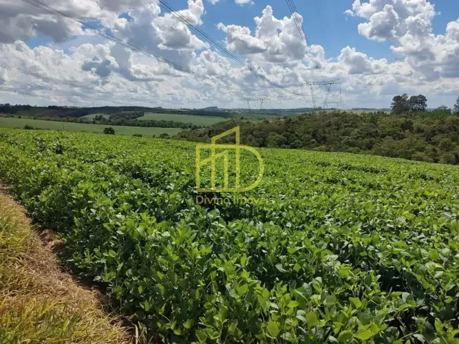 Sítio à venda, 30 Alqueires por R$ 6.000.000 - São Miguel Arcanjo/SP