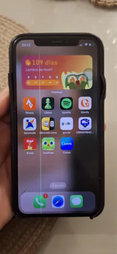 iPhone X