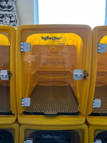 Canil para pet shop em plástico rotomoldado amarelo ByBecker (unitário)