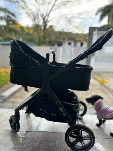 Carrinho de bebê Premium