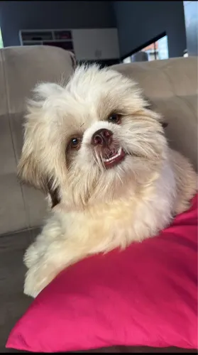 Procura-se uma namorada pro Theo