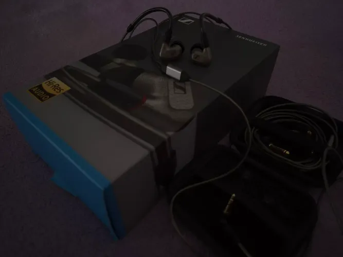 Sennheiser IE 600