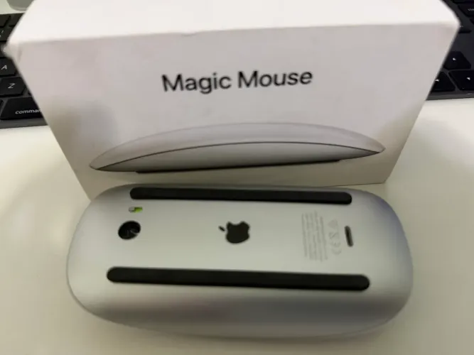 Mouse - Magic Mouse ? 