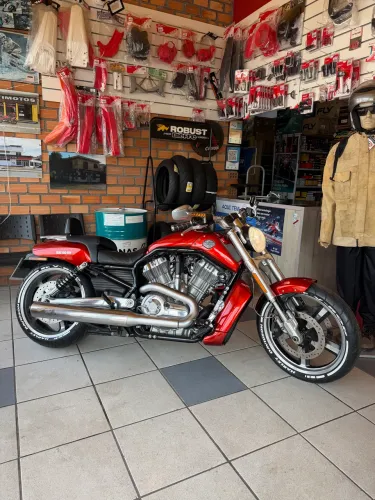 Harley Davidson VROD 1250 Muscle