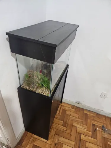 Aquário 72L 