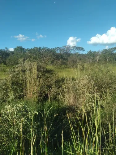 PREÇO DE OPORTUNIDADE - Terreno entre Varzelândia e Ibiracatu