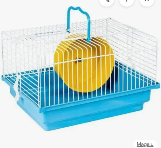 Gaiola