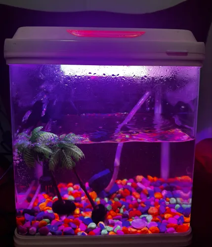 Aquário Sobo AA-290F 14L Completo - LED, Filtragem e Circulação