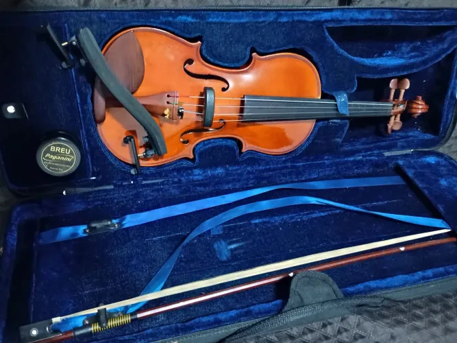 Violino