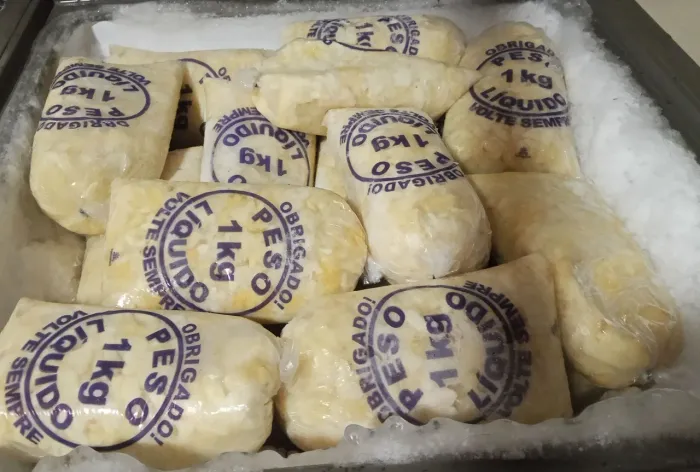Poupa de cupuaçu 