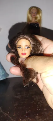 Lote Cabeças de Barbies