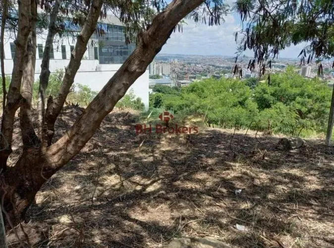 LOTE PARA LOCAÇÃO NO BAIRRO ESTORIL