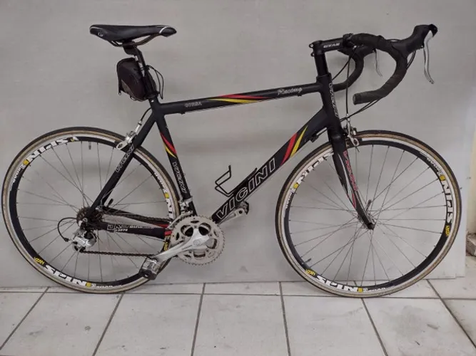Bicicleta Vicini Speed (Valor negociável)