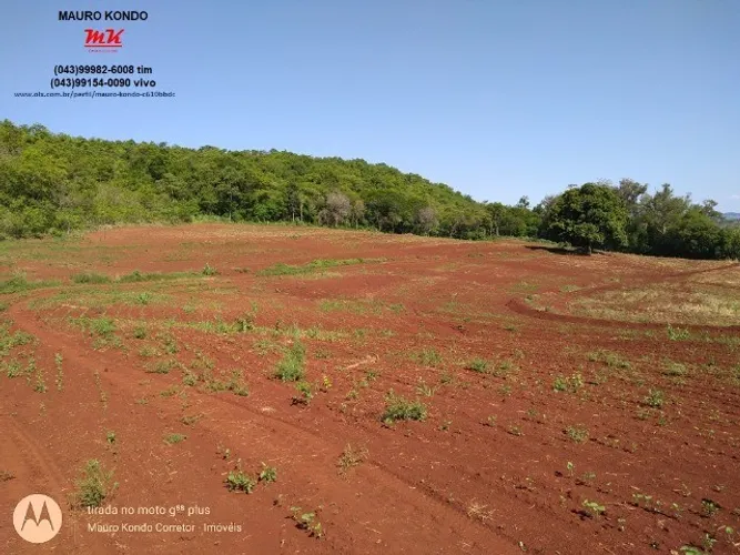 Sítio de 24,08 hectares ou 9,95 alqueires, frente para a BR 369 em Ibiporã.