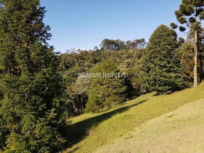 Lindo Terreno à Venda no Condomínio Residencial Reserva Figueiredo - Campos do Jordão/SP