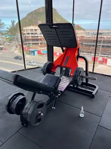 Leg 45 articulado importado mod Techonogym Pure